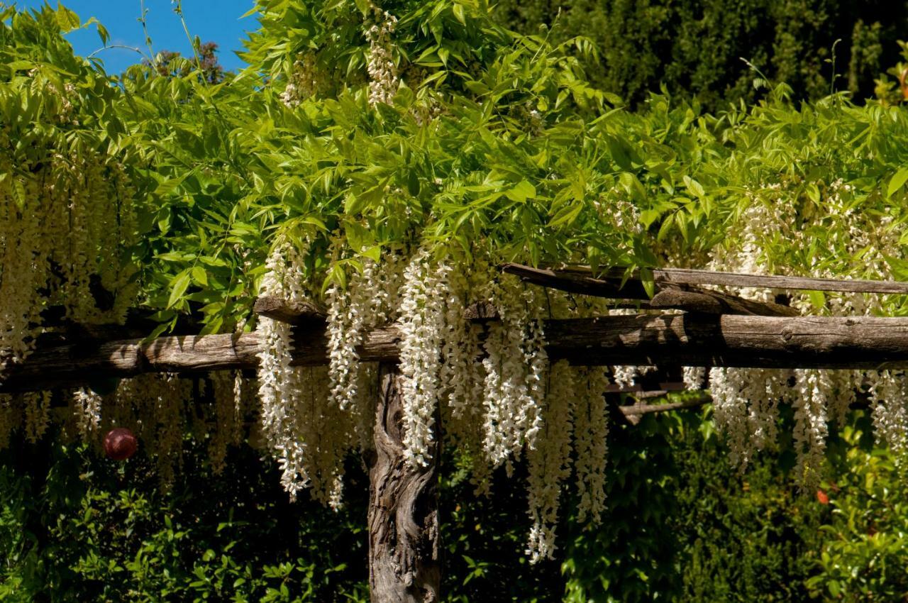 Villa Edera Viagrande Esterno foto
